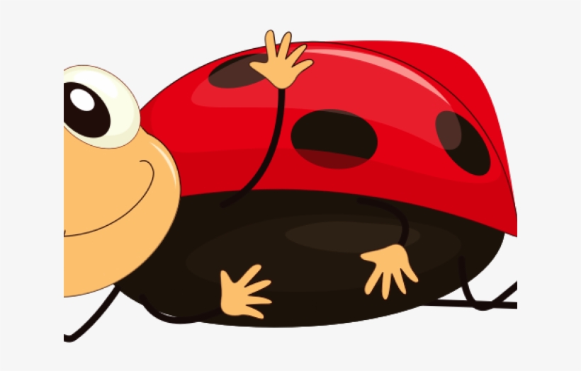 Insects Cartoon, transparent png #3156261