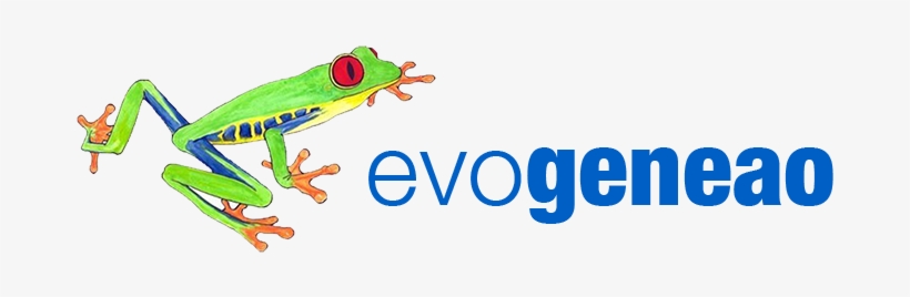 Teacher, transparent png #3156368