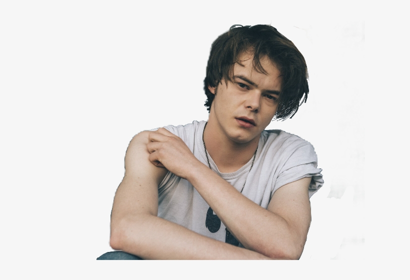 Charlie Heaton Hot, transparent png #3157981