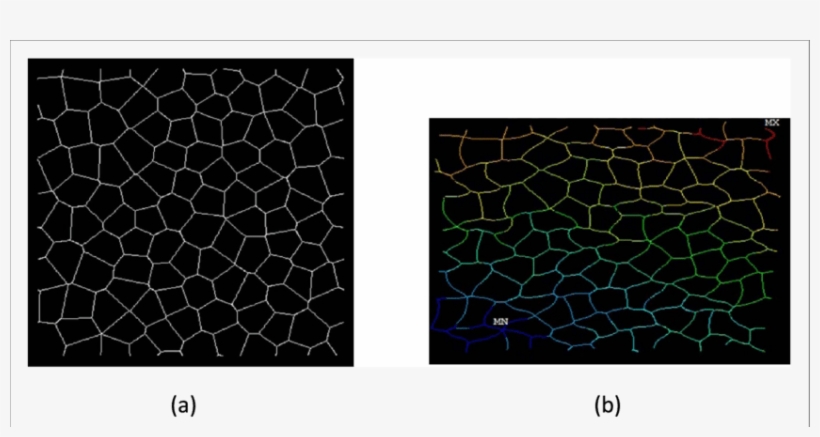 A Periodic Voronoi Honeycomb With 100 Complete Cells - Kate Spade Wilson Road Talya, transparent png #3158069