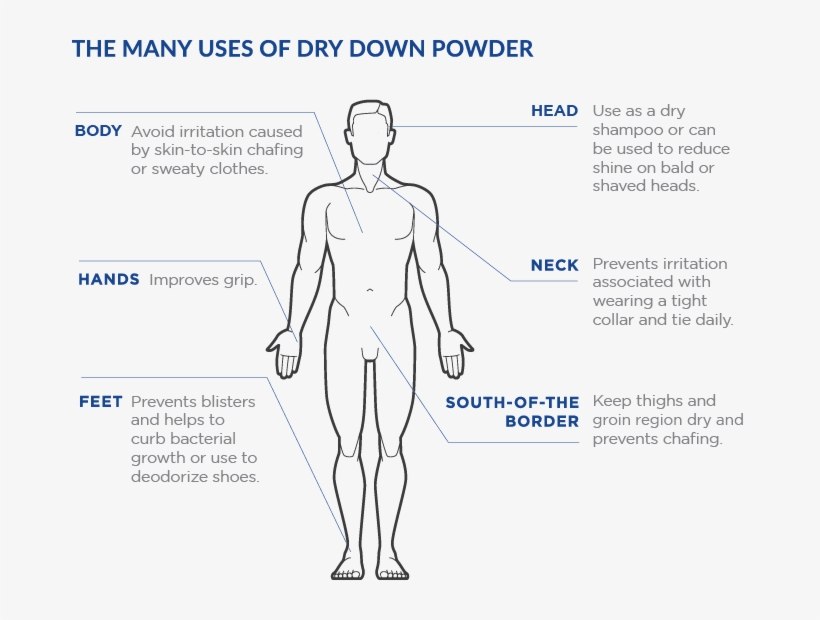 You Can Find Dry Down And Many Other Fabulous Jack - Diagram, transparent png #3158137