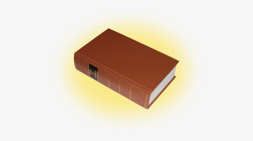 Are There Vast Differences Between The First And Subsequent - Plywood, transparent png #3160544