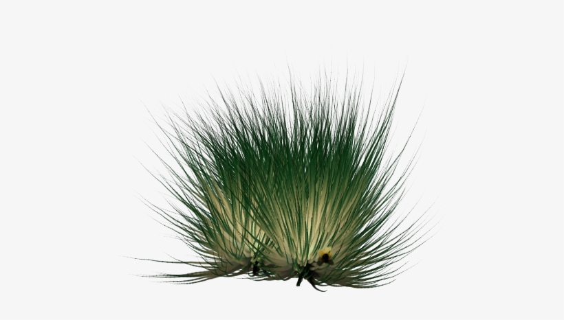 Against Black Background - Grass, transparent png #3161097