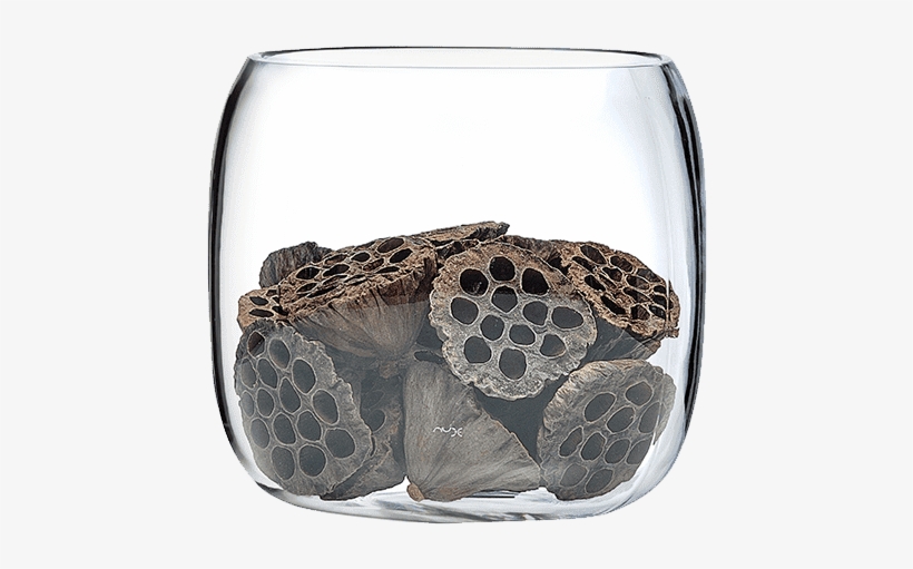 Mono Box - Nude Mono Box Vase M Transparent, transparent png #3161701