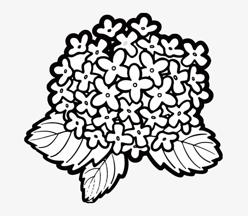Flower Clipart Floral Design Line Art Png 660 * 635 - Kindergarten, transparent png #3161815