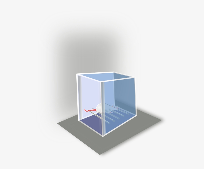 Conditioning Box Svg Clip Arts 534 X 600 Px, transparent png #3161867