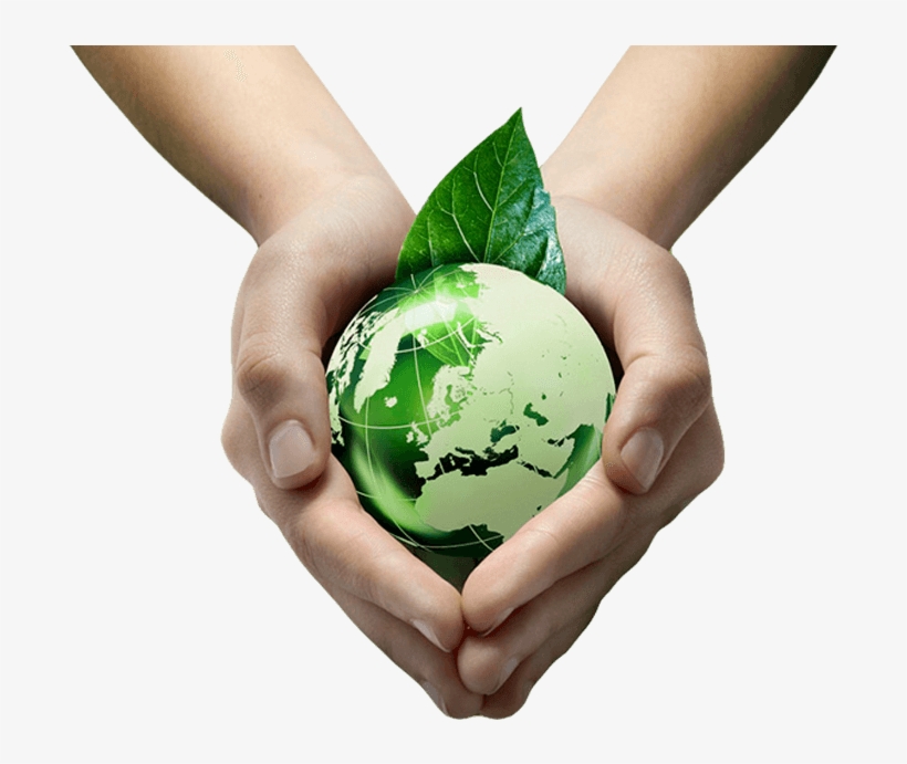 Green Planet Eco-consultant Ltd (gpec) Is An Independent - Caring For Creation: A Resource Guide For Teaching, transparent png #3163606
