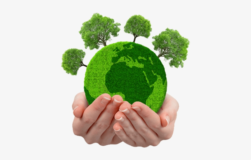 зеленый мир минус. зеленый мир минус. зеленый мир минус. канал зелёный мир. зеленый мир магазин.