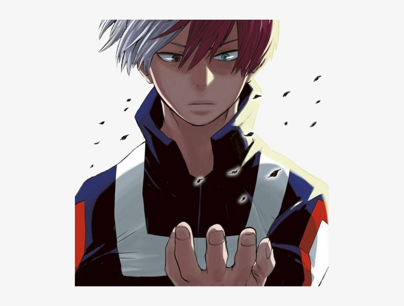 Shouto Todoroki - Boku No Hero Academia Zuko, transparent png #3163840