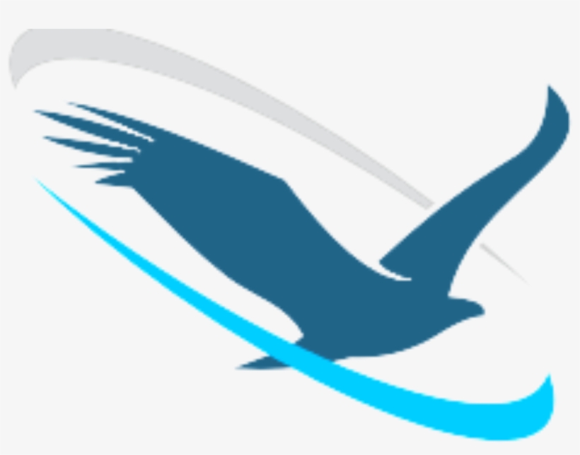 Soaring Eagle Network - Soaring Eagle Logo, transparent png #3164789