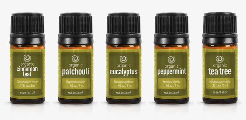 Leaf Collection - Cosmetics, transparent png #3164873