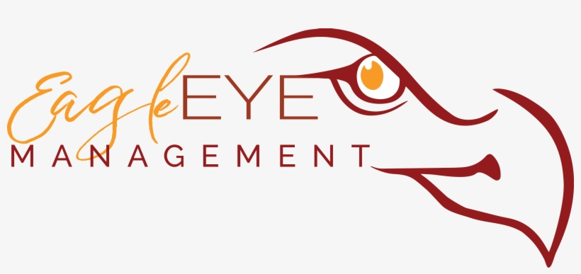 Eagle Eye Management, Llc - Eagle Eyes Consulting, transparent png #3165096