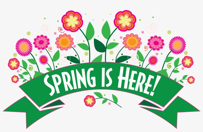 Illustrator Flowers, transparent png #3165173