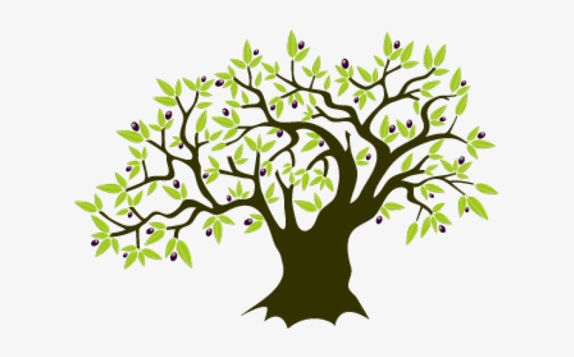 Olive Tree Clipart, transparent png #3166320