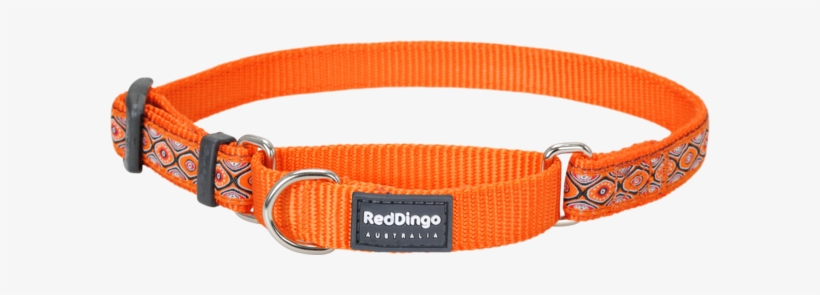 Martingale Snake Eyes Orange Designer Dog Collar - Red Dingo Designer Martingale Dog Collar Large Snake, transparent png #3166329