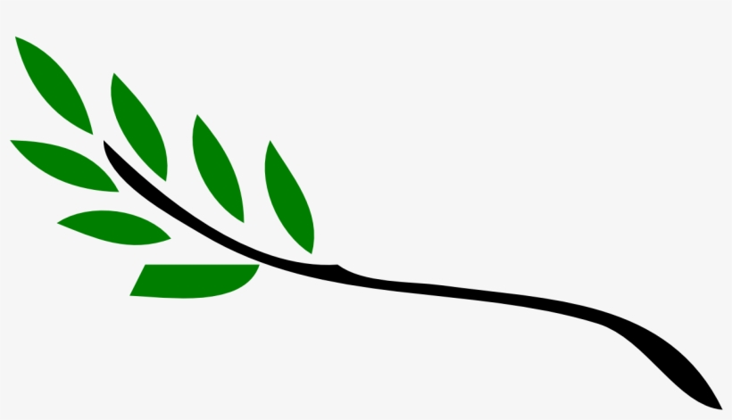 Olive Branch Christmas Xmas - Christmas Day, transparent png #3166550