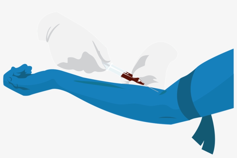 Collect Patient Blood Sample Within 24 Hours Of Onset, transparent png #3166774