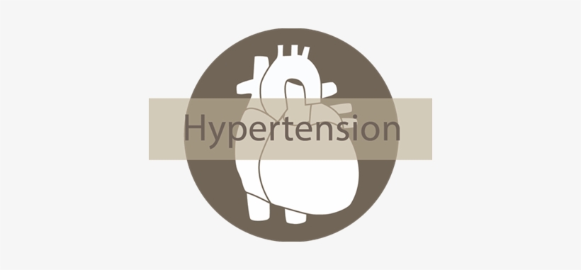 More Than One Billion People Suffer From High Blood - Baroreflex, transparent png #3167025