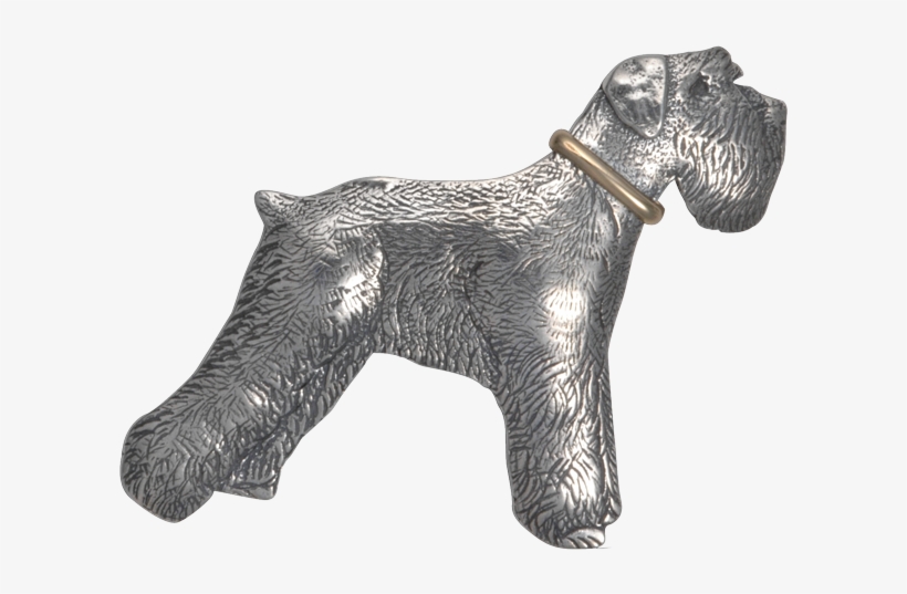 Schnauzer With Collar Pin/pendant, transparent png #3167171