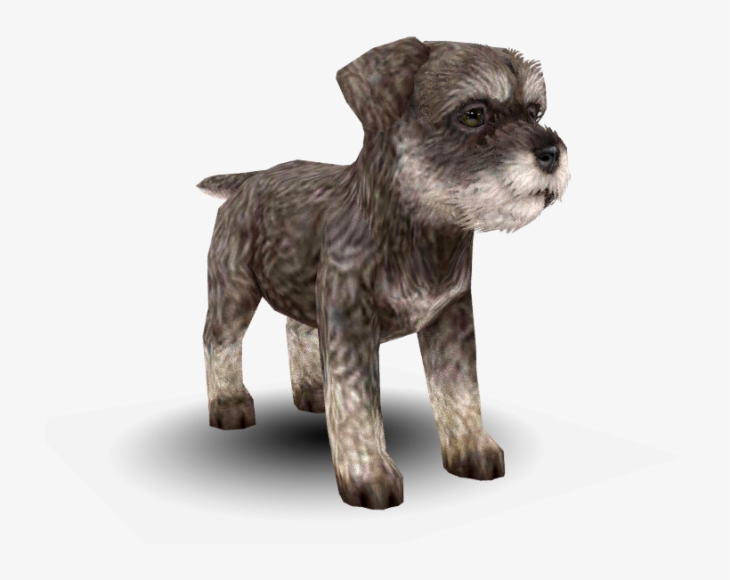 Download Zip Archive - Schnoodle, transparent png #3167301