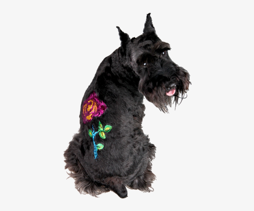Glitter Gel Tattoo Stencil Valu Pack Free Shipping - Glitter Tattoo Dogs, transparent png #3167929