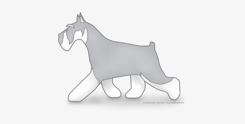 Pause - Standard Schnauzer, transparent png #3167951