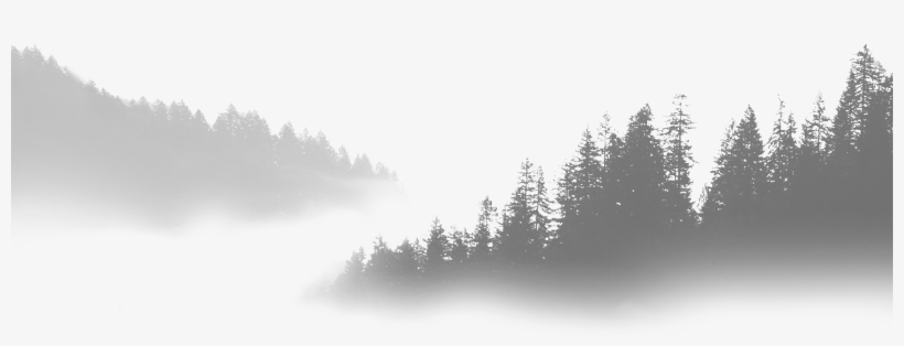 Fog-1 - Suislaw National Forest (green) At Dawn Tote Bag, Adult, transparent png #3168134