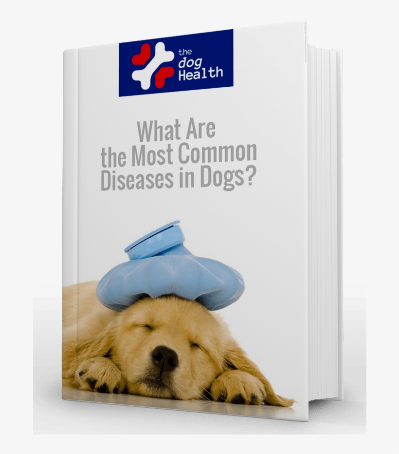 Most Common Diseases In Dogs - Sick Puppy Dogs, transparent png #3168328
