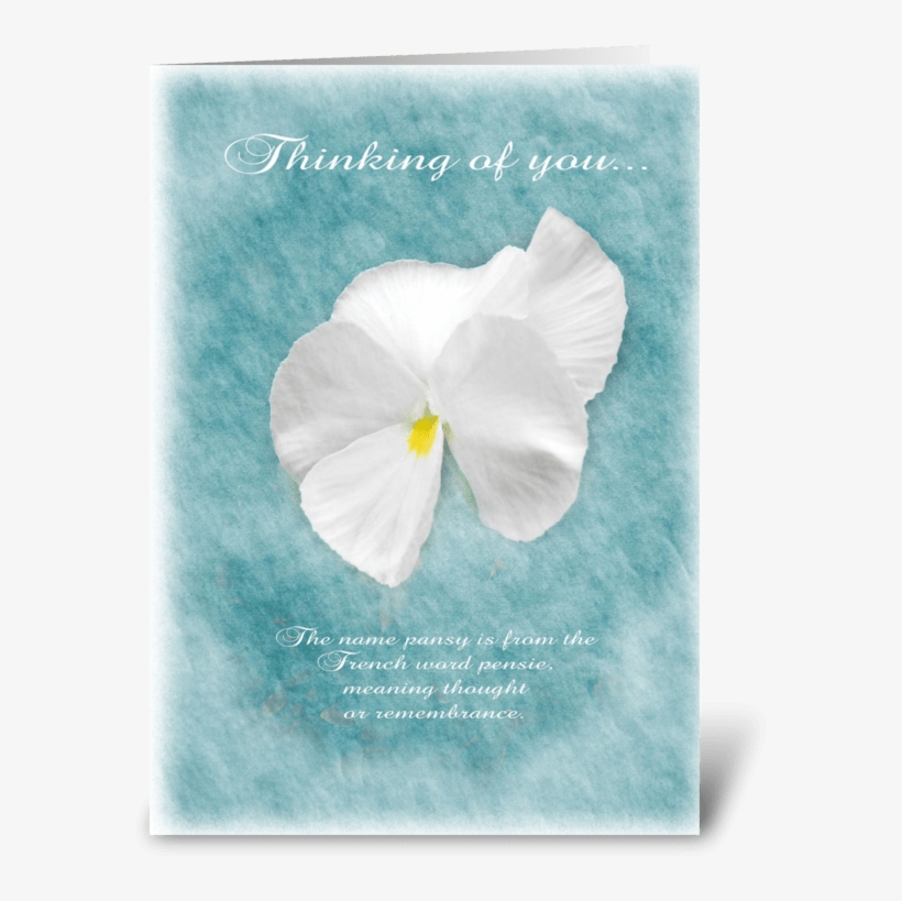 Thinking Of You Pansy Greeting Card - Arum, transparent png #3168559