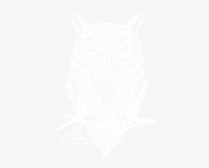 Owl Transparent - Year At Animal Academy [book], transparent png #3169055