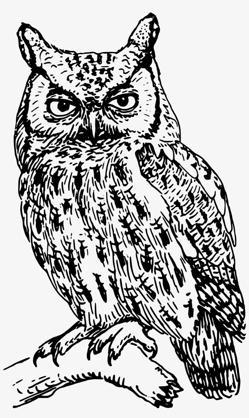 15 Owl Clip Art Creepy For Free Download On Mbtskoudsalg - Owl Black And White Png, transparent png #3169127