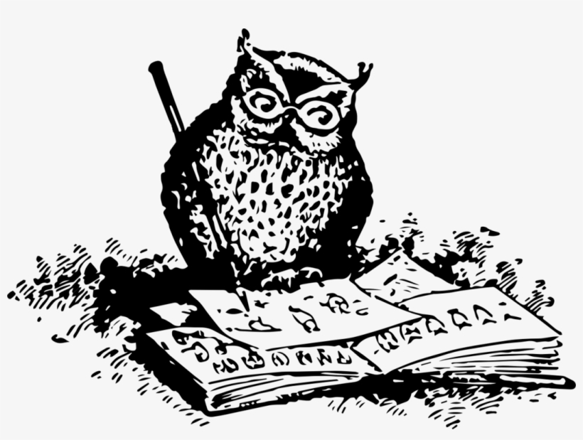 Black And White Owl What To Draw And How To Draw It - Owl Png, transparent png #3169379