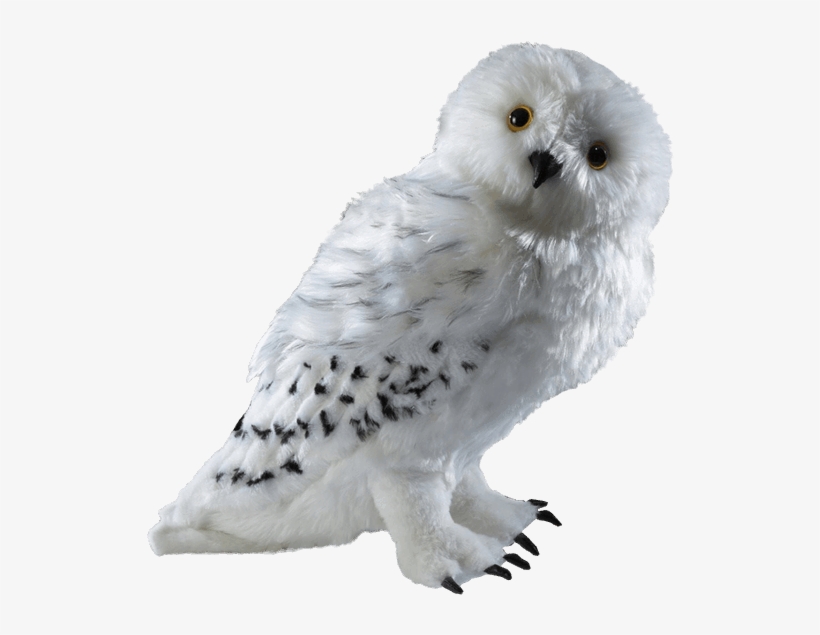 A Beautiful Plush Representation Of The Snowy Owl Given - Harry Potter Hedwig Collector Plush, transparent png #3169548