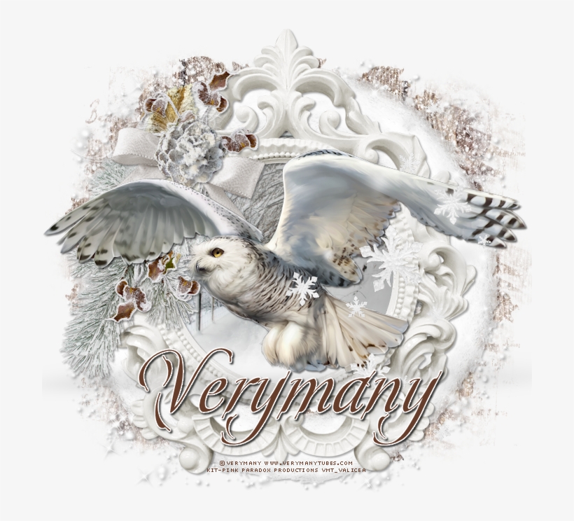 The White Owl - Snowy Owl, transparent png #3169645