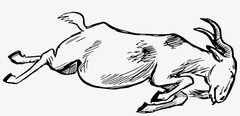 Big Image - Goat Coloring Book, transparent png #3169933