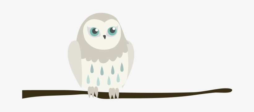About Us - Snowy Owl, transparent png #3170137