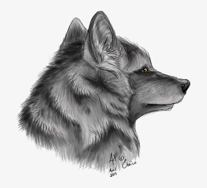 Drawings Drawing Ideas Cool Wolf Drawings Luxury Cool - Zorro Dibujo A Lapiz, transparent png #3170170