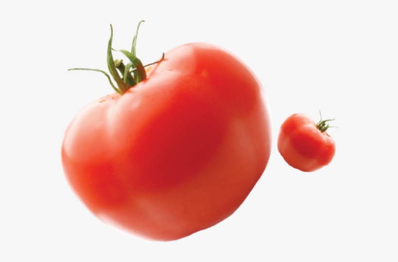 Felfel Felfel2 Felfel - Tomato, transparent png #3171053