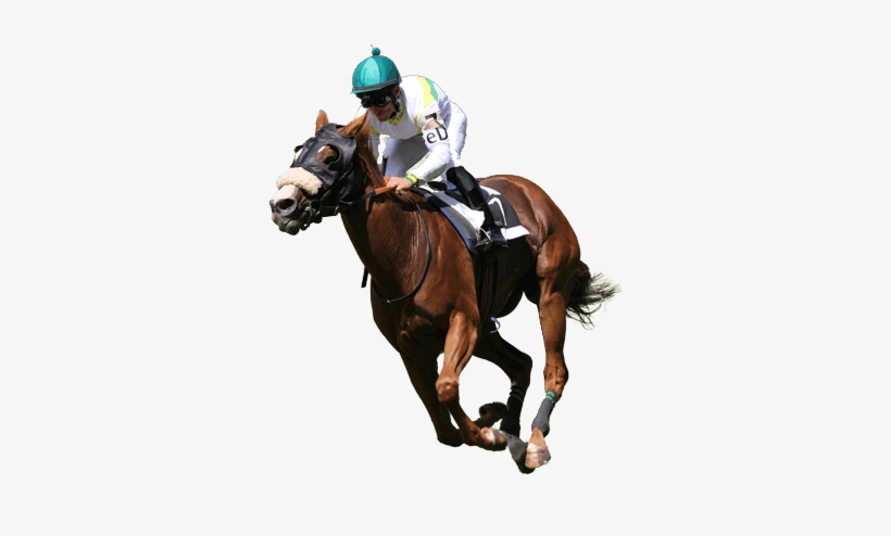 Buy Tickets - Party Till Dawn Racehorse, transparent png #3173528