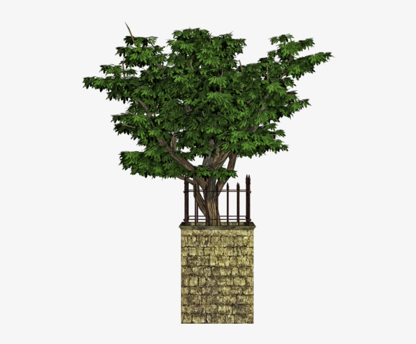 Share This Image - Houseplant, transparent png #3174174