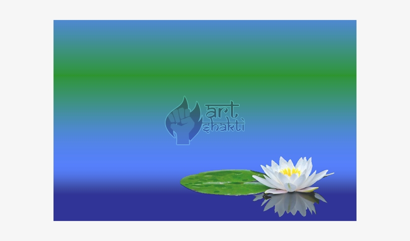 White Lotus Flower, transparent png #3174182
