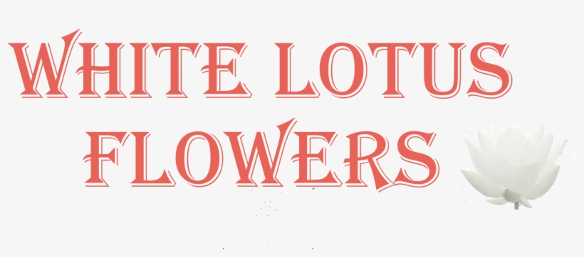 Never Underestimate The Power Of Dua, transparent png #3174445