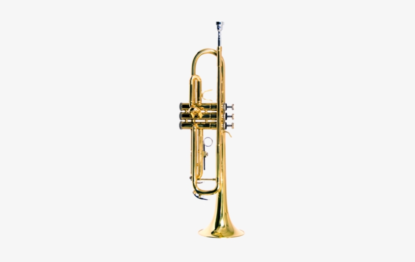 Bajo Quinto - Trumpet Color, transparent png #3176180