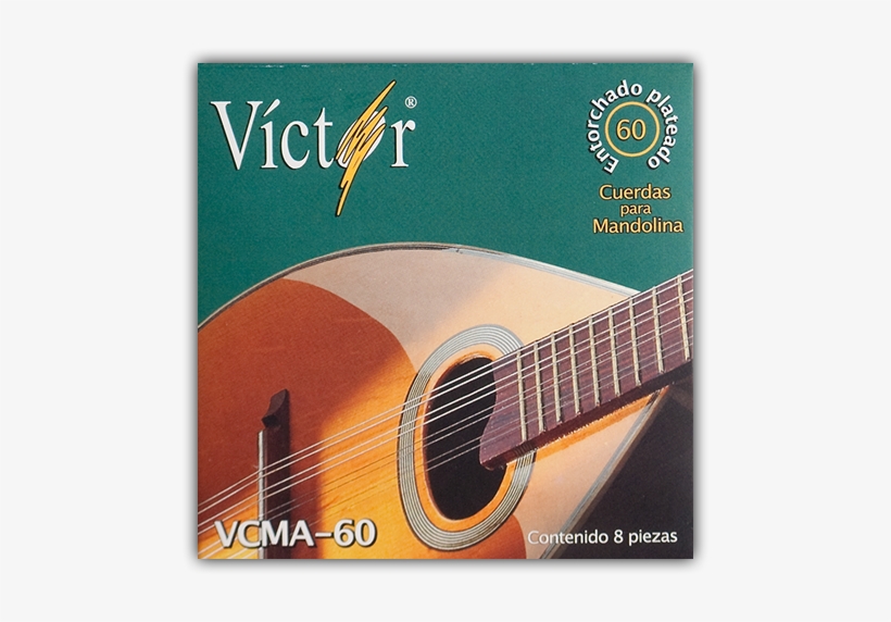 Privacy Notice - - Mandolin, transparent png #3176184