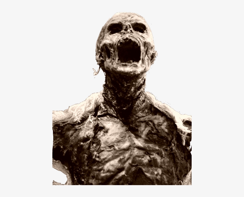 Report Abuse - Macabre Horror Art, transparent png #3179521