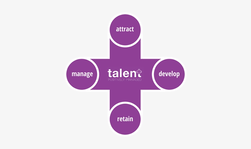 4zones - Illustration, transparent png #3179644