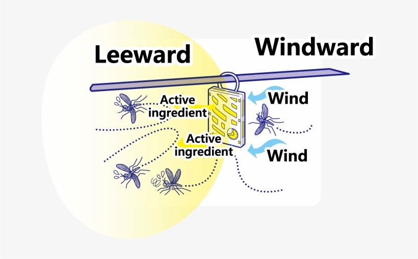 【qr】虫コナ風上素材eng - Kailua, transparent png #3179902