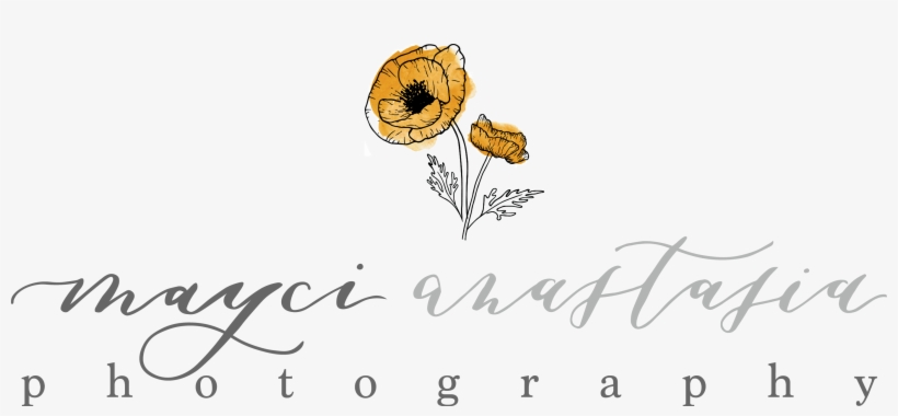 Mayci Anastasia Photography - Photographer, transparent png #3179925