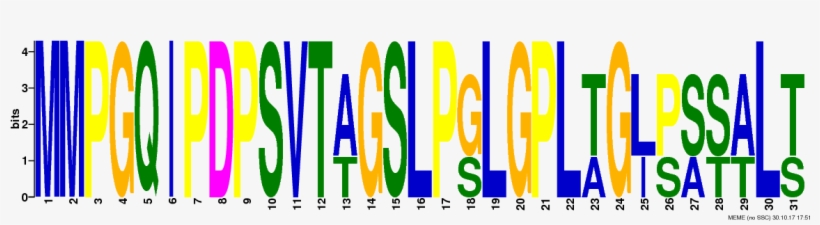 Png Logos Require Convert From Imagemagick - Sequence Logo, transparent png #3180492