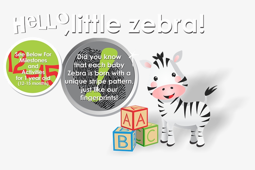 Zebra - Cartoon, transparent png #3181139